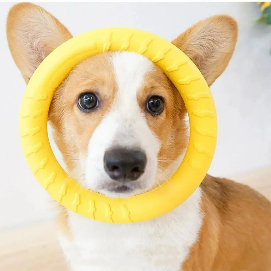 Indestructible Chewing Ring For Training Fetch for Small Medium Large Dogs