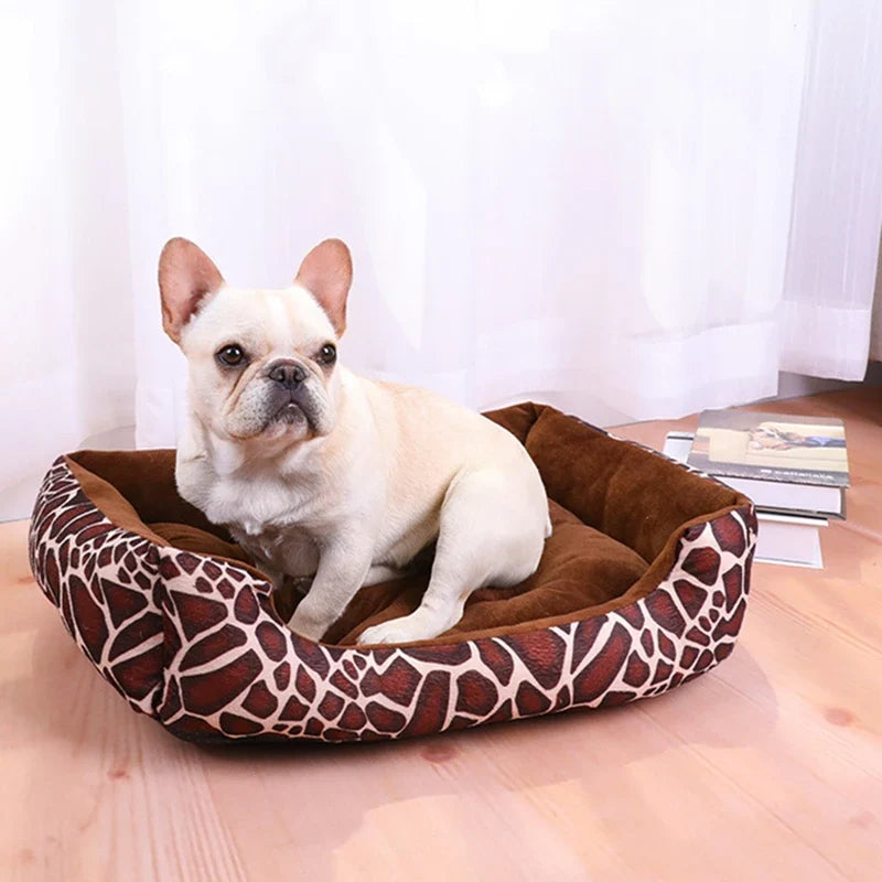 Patterned pet cushion bed