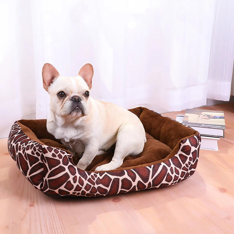 Cute Brown Cushion For Puppies and Cats