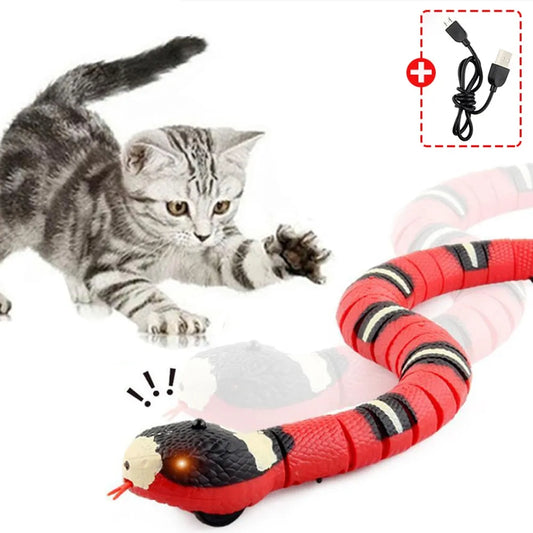 Electronic Snake Teasing Play Toy